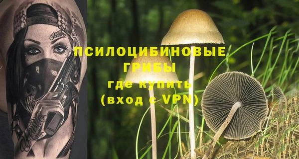 а пвп мука Няндома