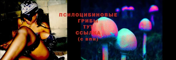 spice Нязепетровск