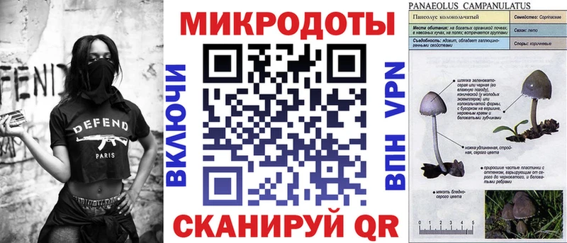 Галлюциногенные грибы Psilocybine cubensis  kraken tor  Щёлково 
